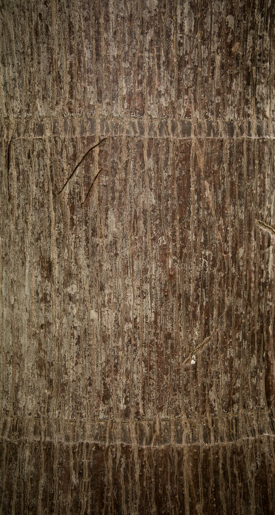 abstract, aging, background, bark, brown, closeup, design, detail HD wallpaper