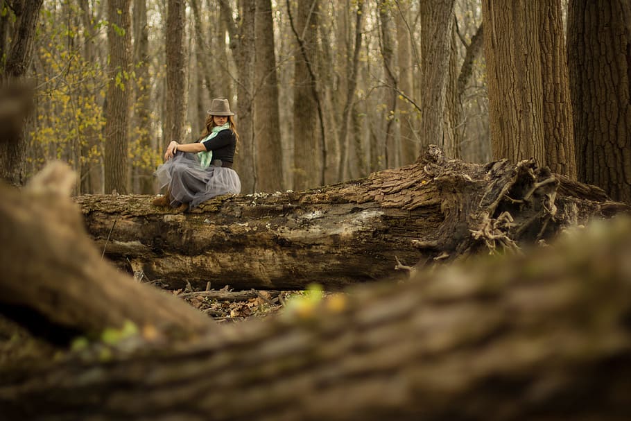 woman on top of brown tree log, woman sitting on tree og, log in HD wallpaper