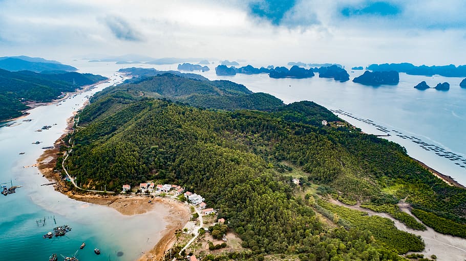 aerial view of island and beahc, aerial photography of island HD wallpaper