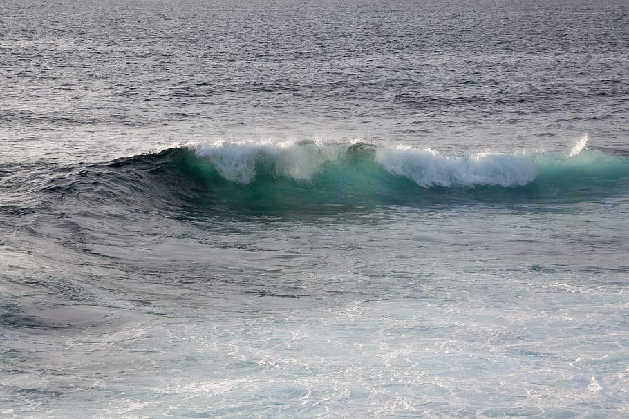 wave, ocean, flood, sea, water, spray, holiday, surf, wind HD wallpaper