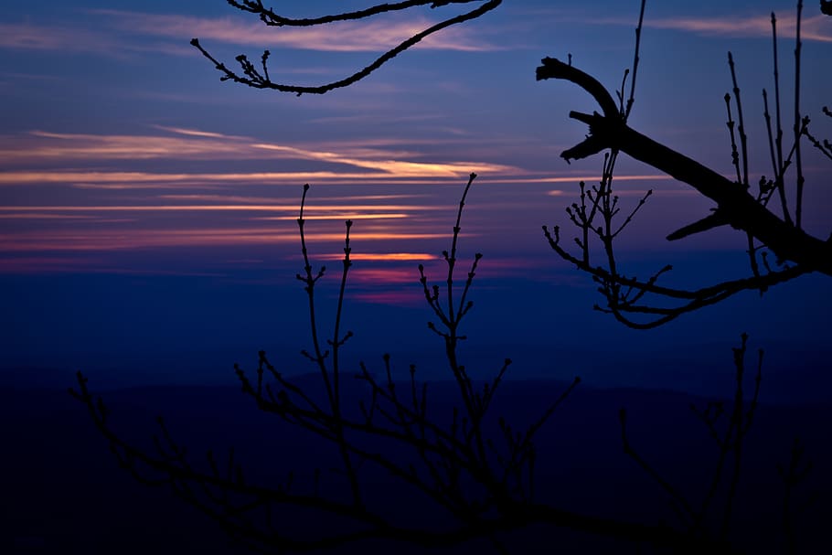 sunset, sundown, evening, nature, sky, silhouette, beauty in nature HD wallpaper