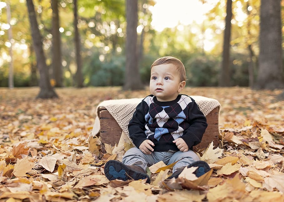 toddler's wearing black sweater outdoor on dried brown maple leaves, HD wallpaper
