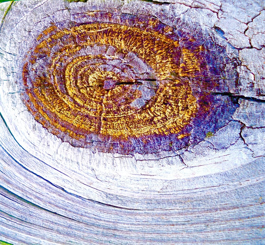 knot, nebula, constellation, weathered, pattern, natural, design HD wallpaper