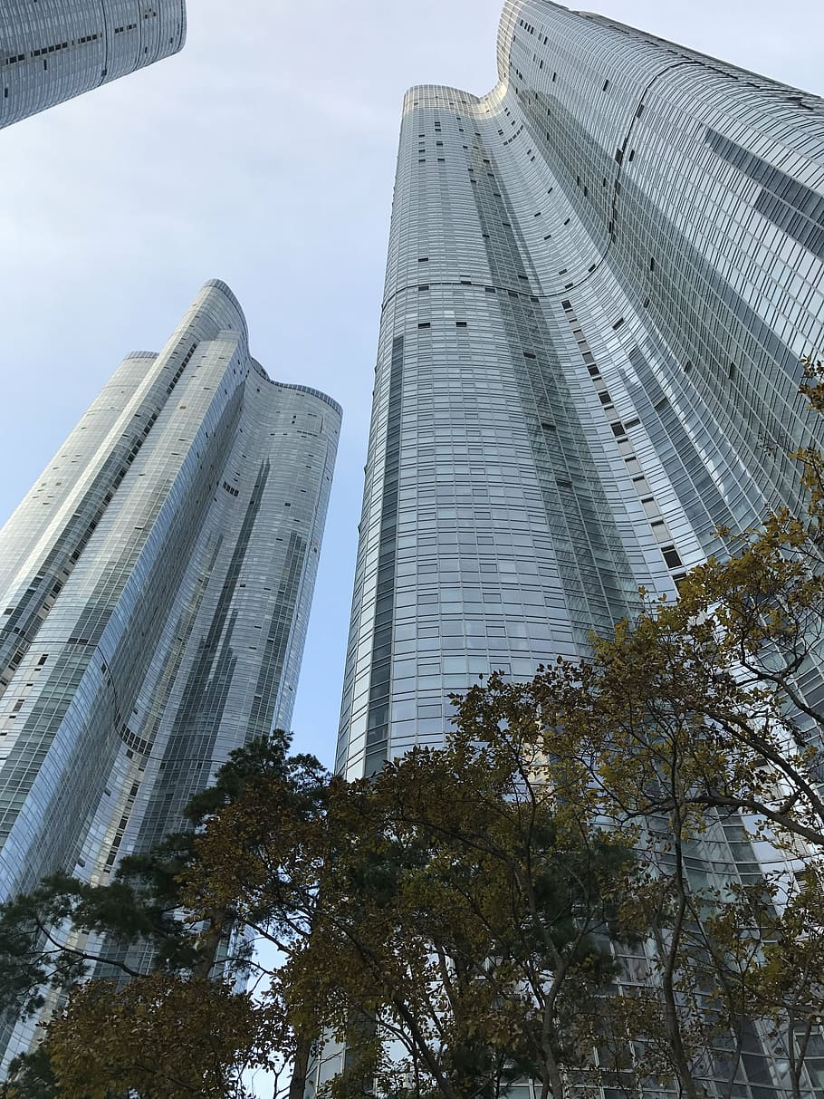 low angle photography of high-rise building, bill, contemporary HD wallpaper