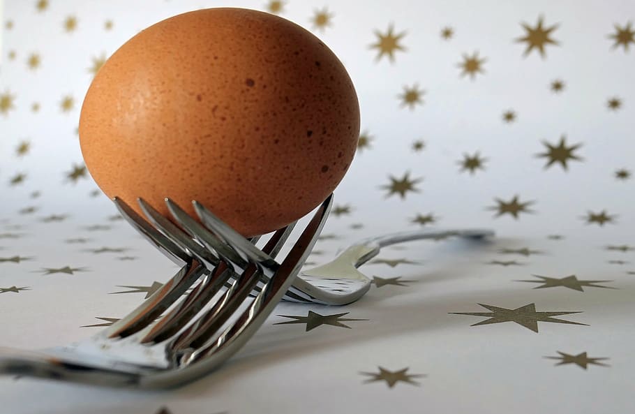 fork, egg, cutlery, food, origin of life, nutrition, frisch HD wallpaper