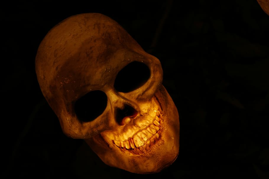 brown skull lighted table decor, skull and crossbones, skeleton HD wallpaper