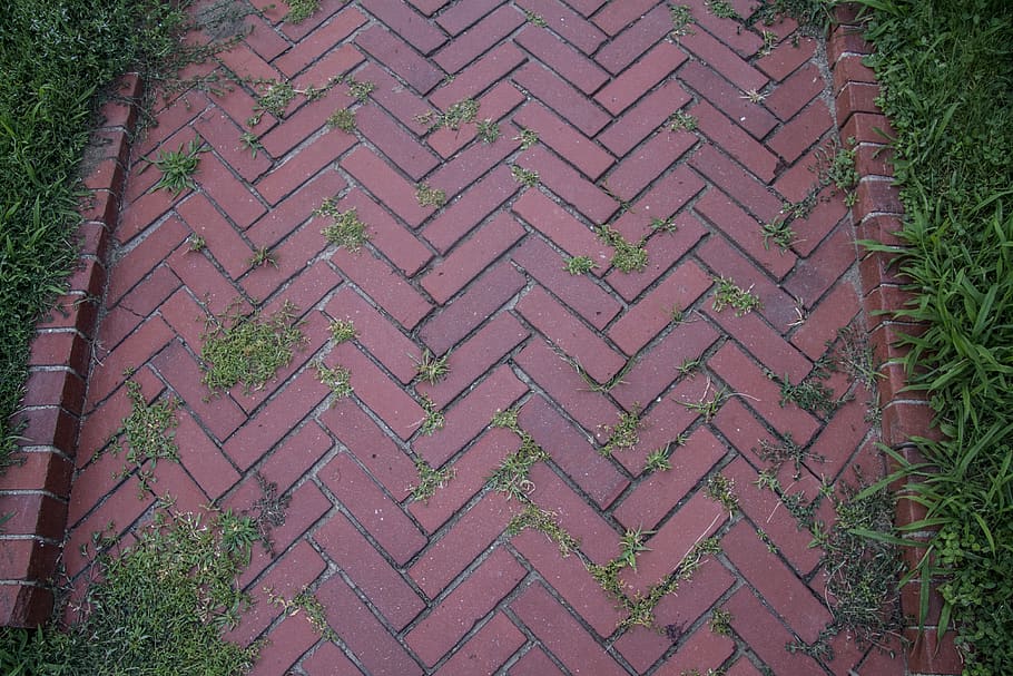 road, bricks, grass, street, path, urban, stone, ground, paving HD wallpaper