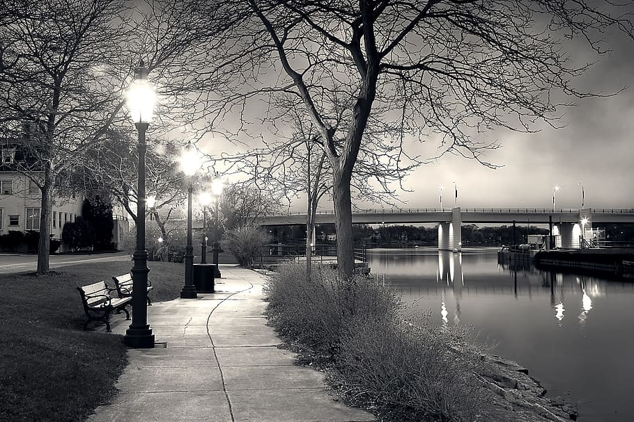grayscale photo of pathway between black post and body of water HD wallpaper