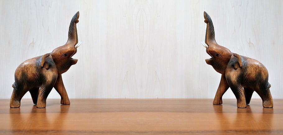 two, 2, elephants, wood, mammal, indoors, animal wildlife, no people HD wallpaper