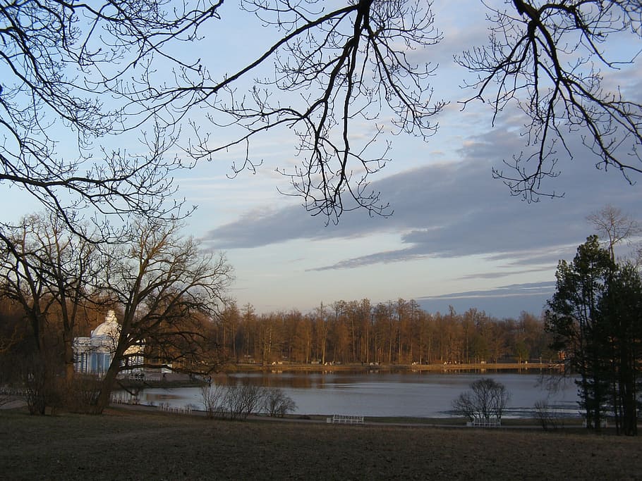 Pond, Trees, Branches, Silhouette, Dark, cloudy, sky, landscape HD wallpaper