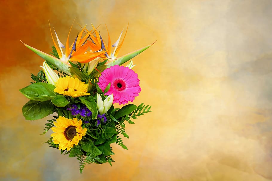 multicolored flowers painting, emotions, plant, bouquet, thank you, HD wallpaper