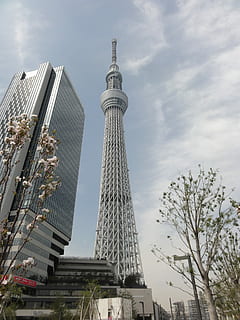 Tokyo, Japan, Skytree, architecture, skyscraper, tower, travel destinations HD wallpaper