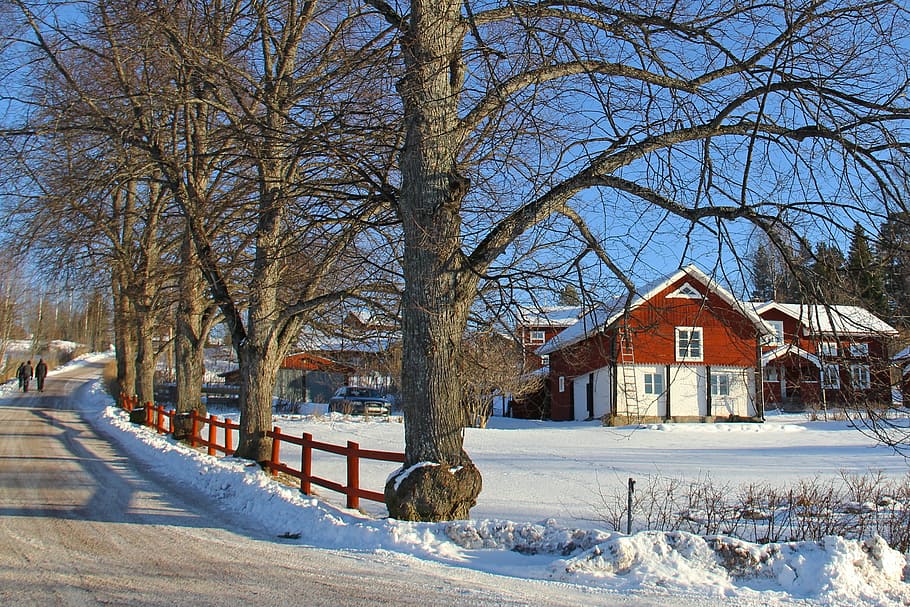 red and white wooden house near trees during daytime, snow HD wallpaper