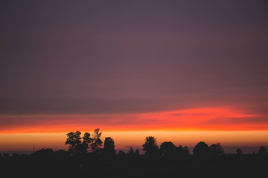 backlit, dark, dawn, dusk, orange sky, silhouettes, sunrise HD wallpaper
