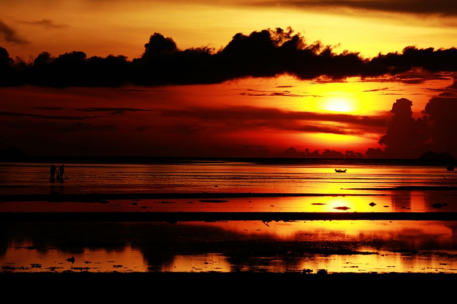 sunset, sea, sky, nature, summer, horizon, sunlight, evening HD wallpaper