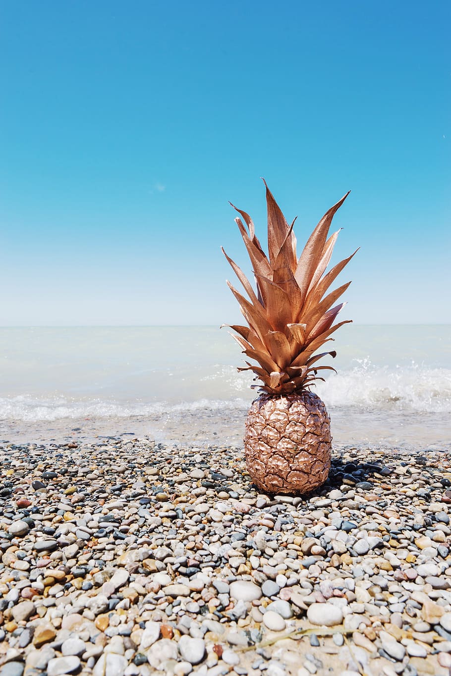 pineapple, dessert, appetizer, fruit, juice, crop, beach, ocean HD wallpaper