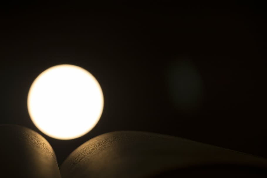 blur, close-up, dark, focus, light, illuminated, black background HD wallpaper