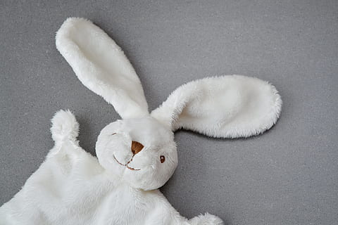 closeup photography of white rabbit plush toy, surface, hare HD wallpaper