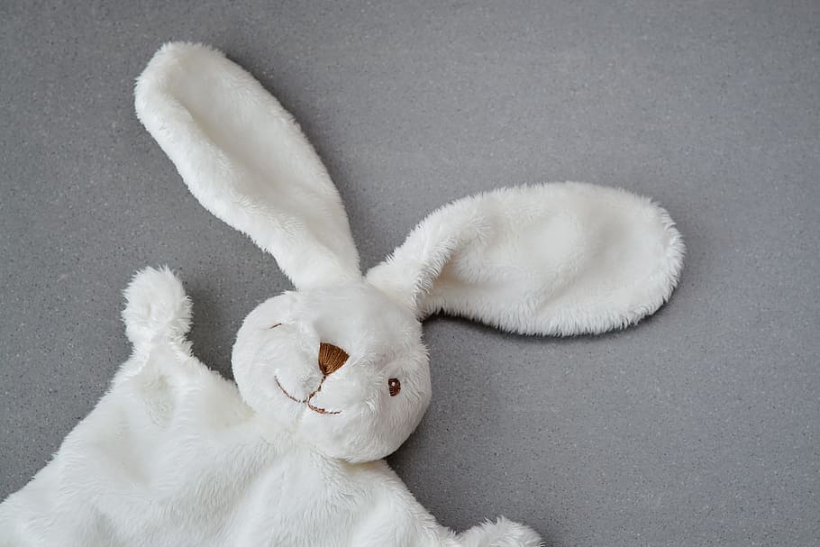 closeup photography of white rabbit plush toy, surface, hare HD wallpaper