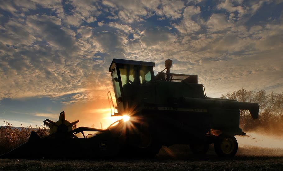 silhouette of farm tractor at the field, combine, soybean harvest