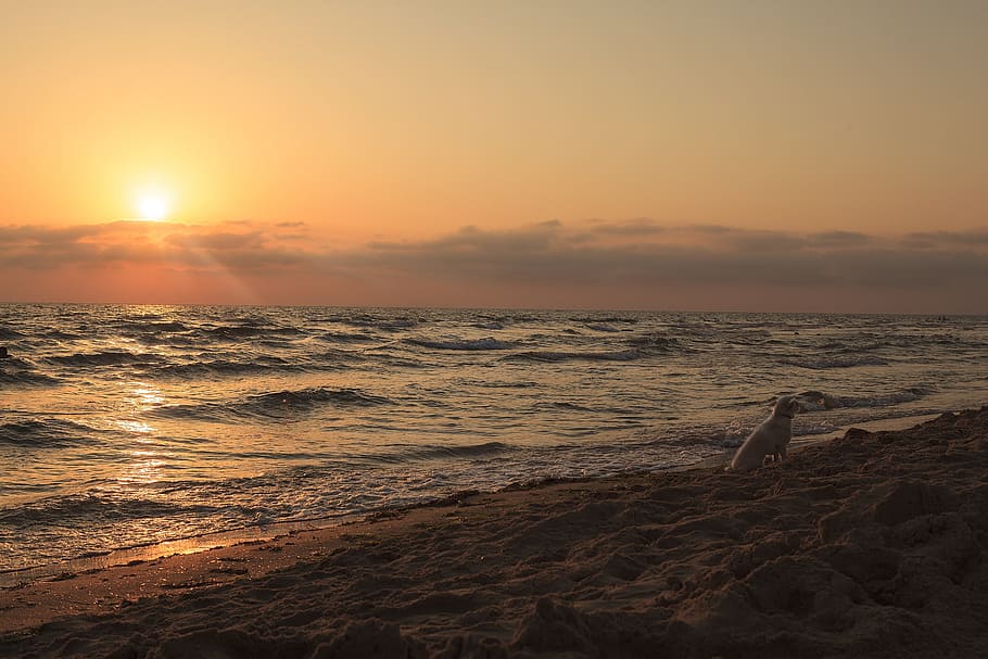 sunset, dawn, water, twilight, beach, evening, sea, nature HD wallpaper