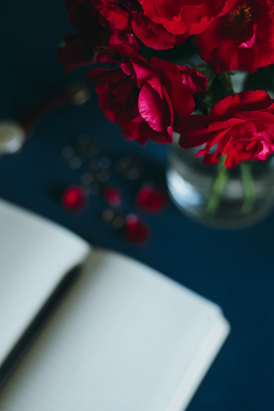 Lovely workplace with red roses, female, flowers, cute, bucket