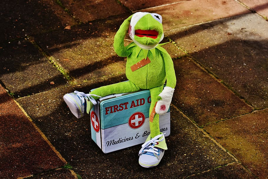 Sesame Street Kermit the frog, first aid, injured, association, HD wallpaper