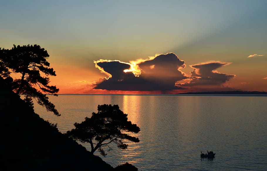 silhouette of tress during sunset, turkey, trilye, summer, landscape, HD wallpaper