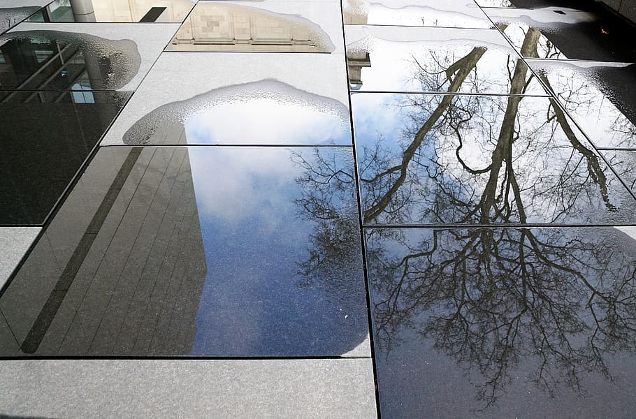Puddle, Water, Nature, Patch, baden baden, viewing, tree, mirror HD wallpaper
