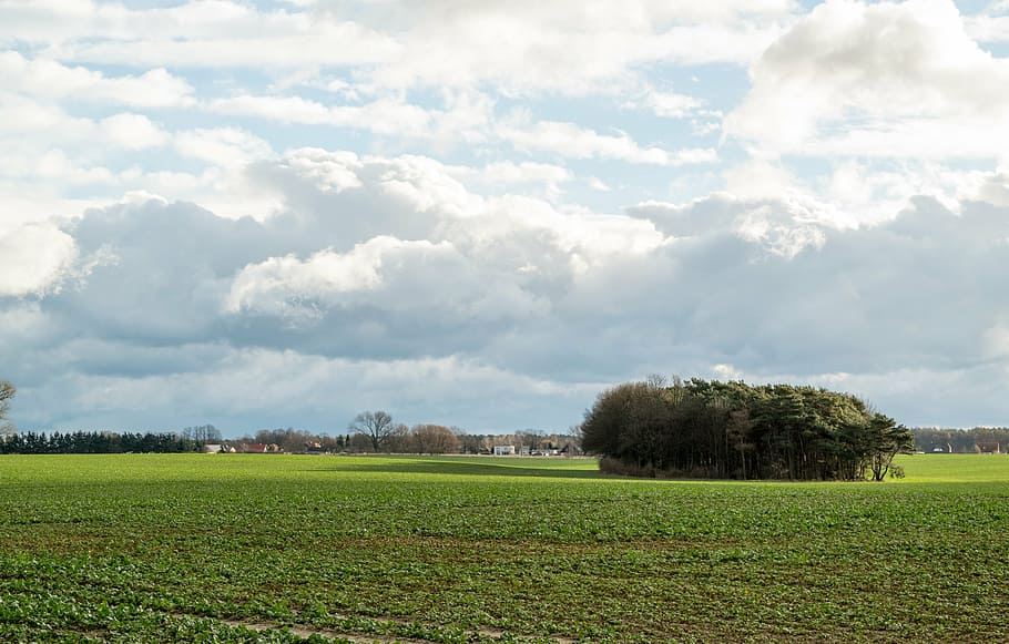 clouds, clouds form, sky, blue, nature, white, cumulus clouds HD wallpaper