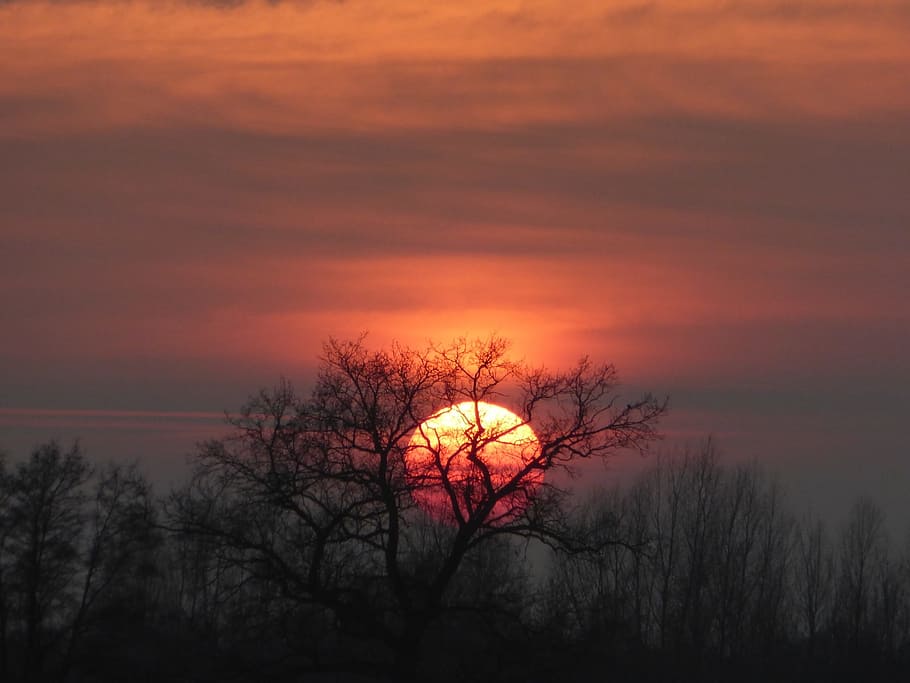 Sunset, Landscape, Outer, nature, tree, sky, silhouette, dusk HD wallpaper