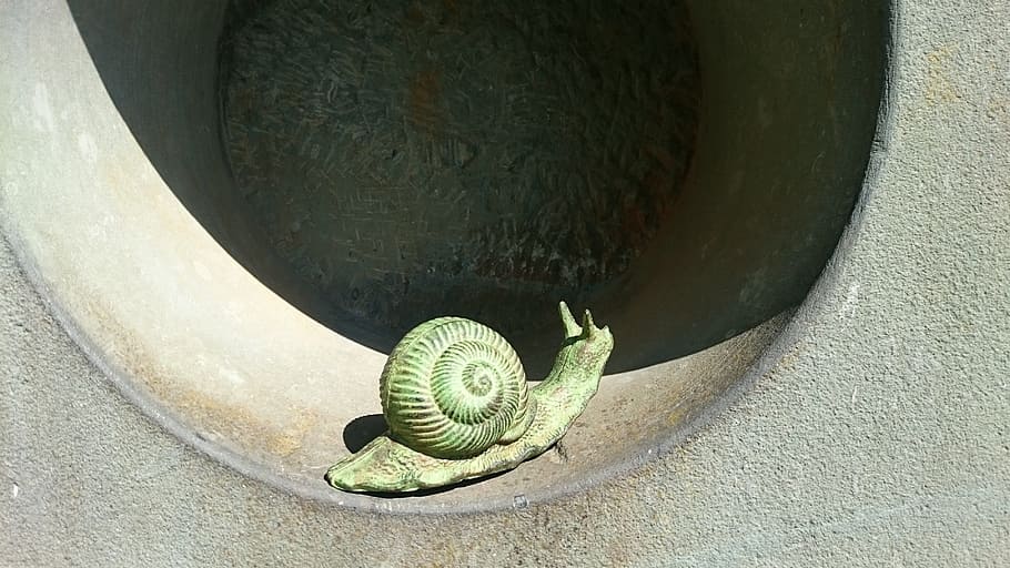 Snail, The Beginning, End, Input, at the beginning, infinity HD wallpaper