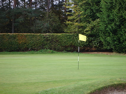 golf pole with flag on green grass near trees, course, hole HD wallpaper