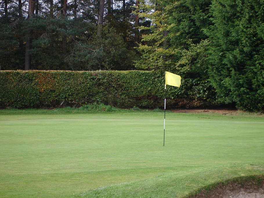 golf pole with flag on green grass near trees, course, hole, sport, HD wallpaper