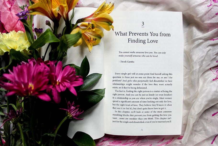flowers, book, pages, sheets, words, letters, story, petals HD wallpaper