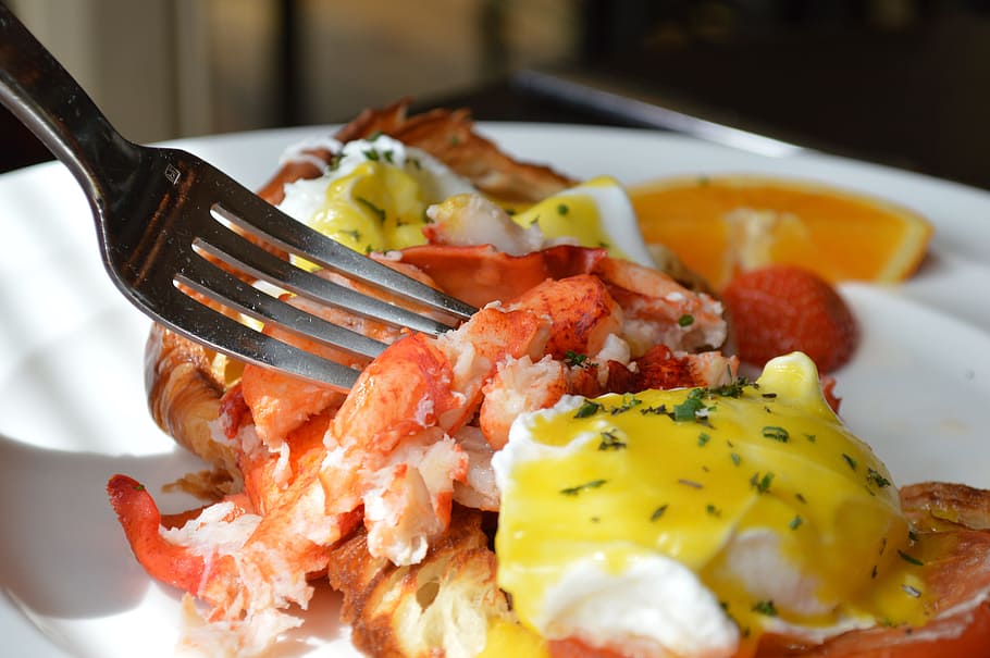 meat dish with egg, lobster, brunch, benedict, fork, food, dining HD wallpaper
