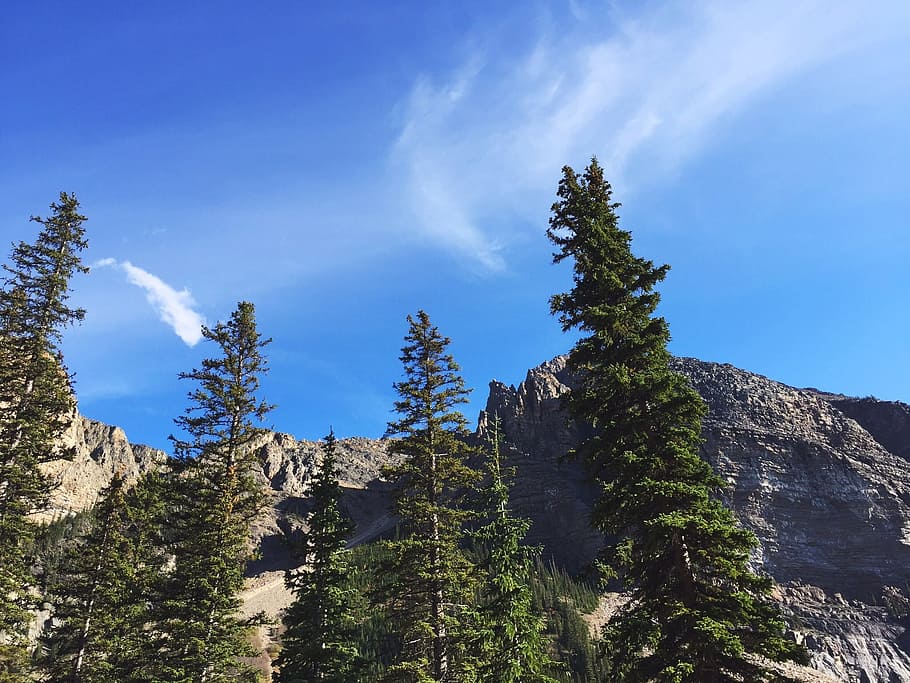 trees, mountains, nature, sky, hiking, outdoor, cloud, plant HD wallpaper