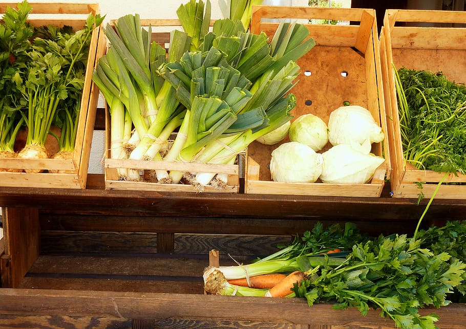 vegetables, celery, kohl, soup greens, kohlrabi, parsley, food and drink HD wallpaper