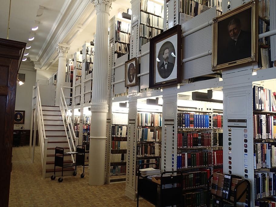 library with photo frames, books, learn, literature, study HD wallpaper
