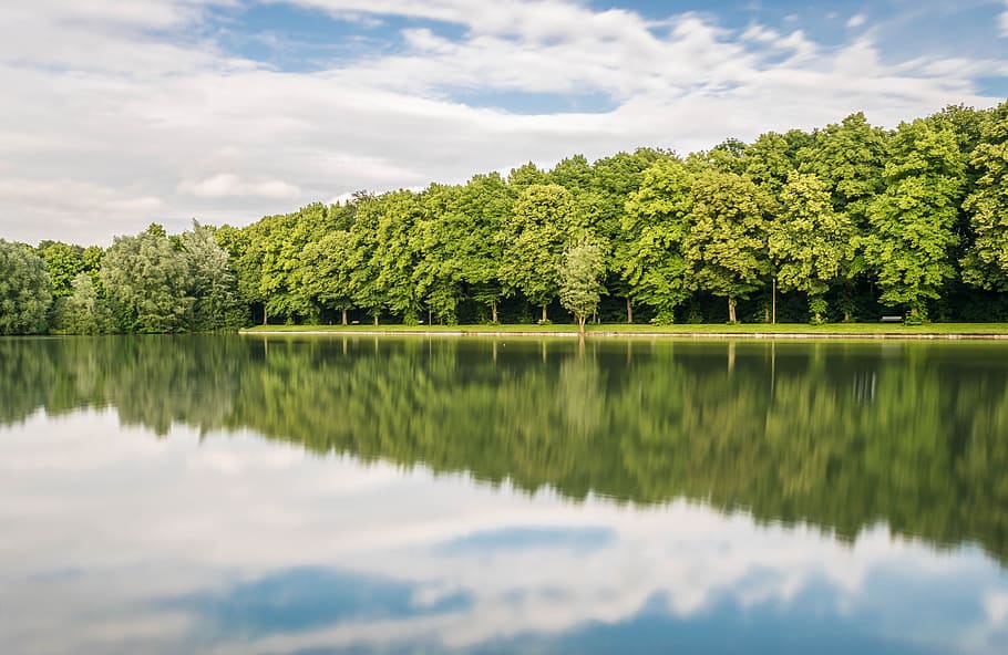 forest, mirroring, trees, lake, water, silent, nature, reflect HD wallpaper