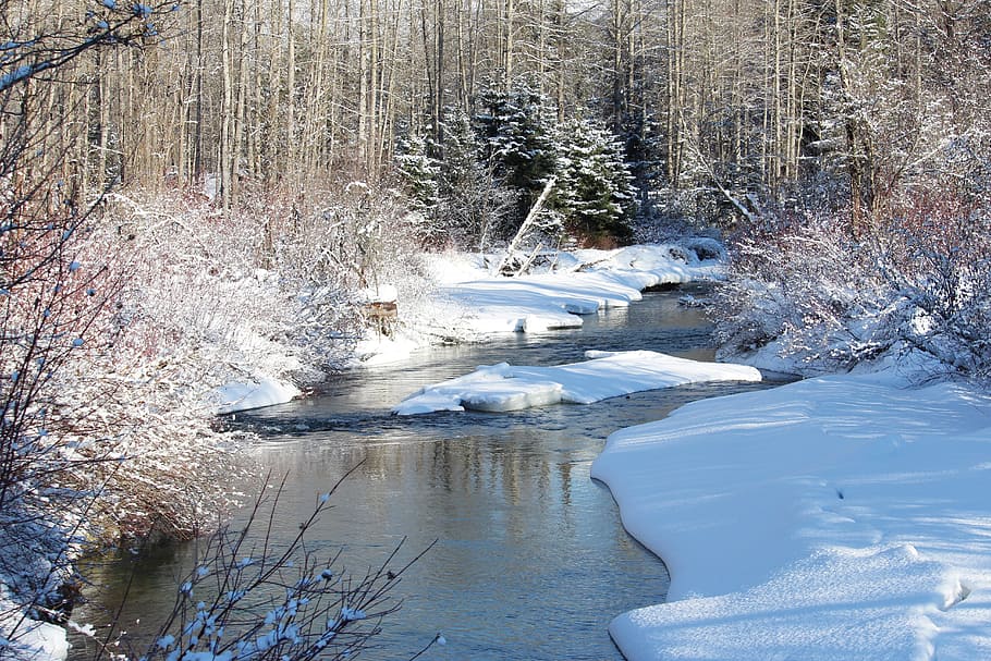 Whistler, Creek, River, Winter, snowbank, cold, scenery, trees, HD wallpaper