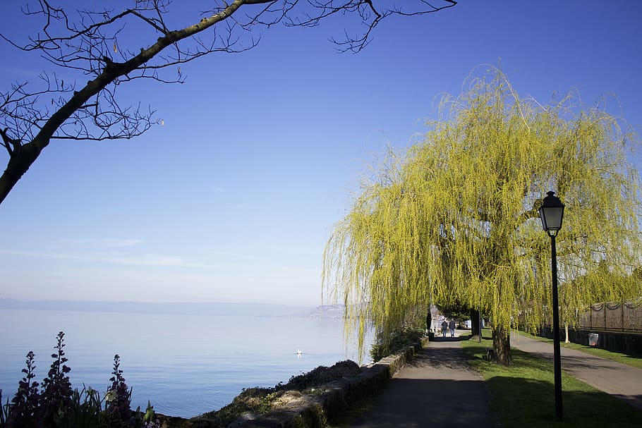 montreux, swiss, switzerland, lake, sky, walk, blue, majestic, HD wallpaper