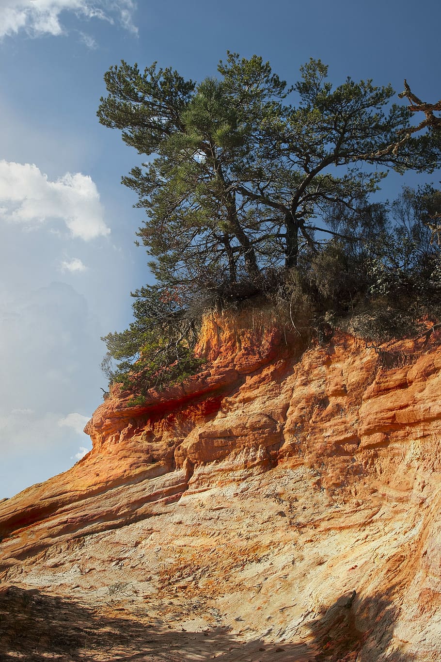 ocher, rock, trees, landscape, nature, bald, old, tree root HD wallpaper