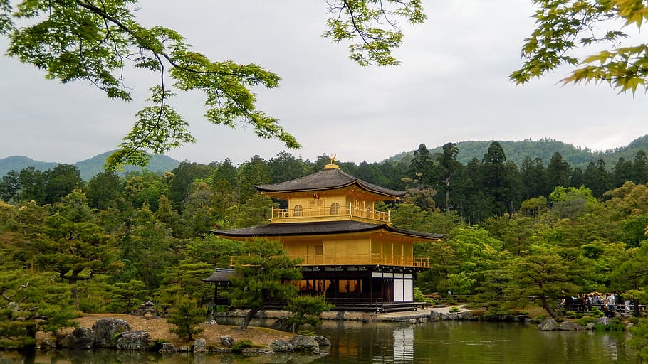temple, japane, history, tree, plant, sky, architecture, nature HD wallpaper