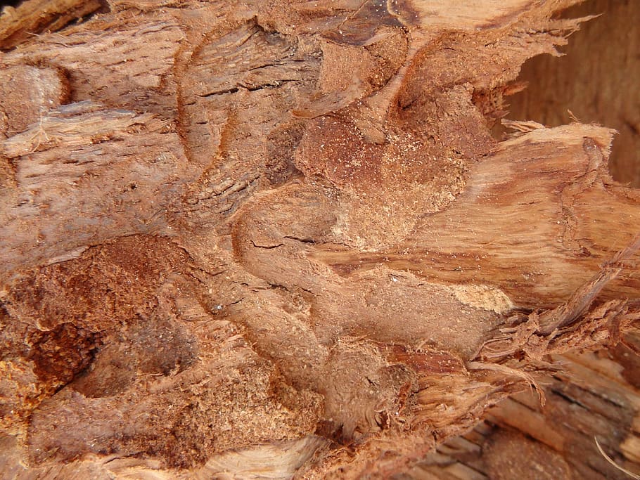 Texture, Hires, Background, texture 1, composition, rock - object HD wallpaper