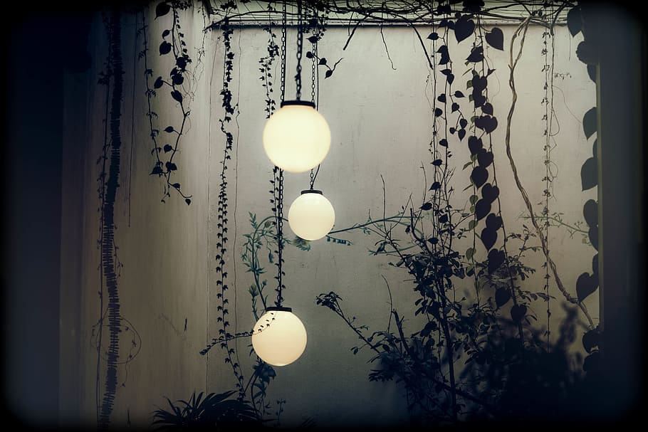 three round pendant lamps hanged under roof with silhouette of vines HD wallpaper