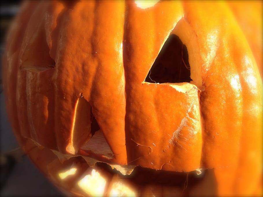 pumpkin, jack-o-lantern, halloween, fall, autumn, scary, haunting HD wallpaper