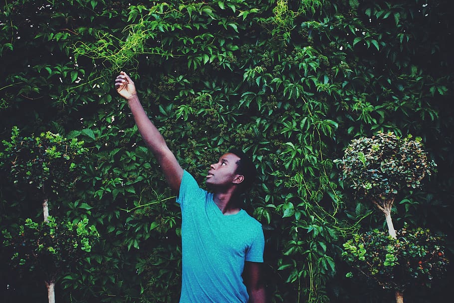 man standing while reaching leaf during daytime, man holding leaf HD wallpaper