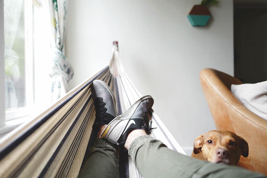 selective focus photography of person wearing sneakers lying on hammock, HD wallpaper