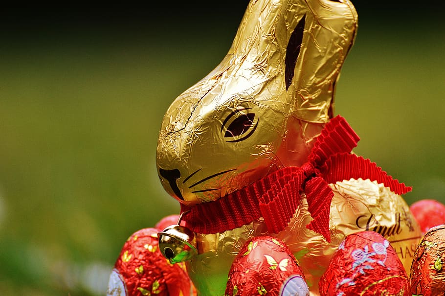 hare, easter, chocolate, spring meadow, wildflowers, blue, flower meadow HD wallpaper